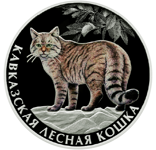 Изображение карточки